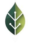 Verdashift Logo 1 - no background